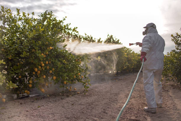 Best Best Pest Control Companies  in National Harbor, MD