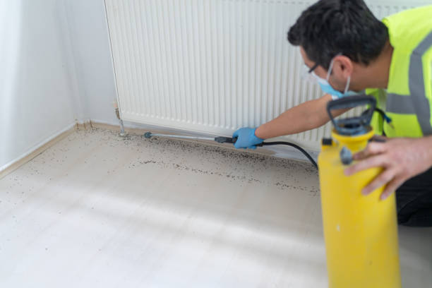 Best Pest Control for Businesses  in National Harbor, MD